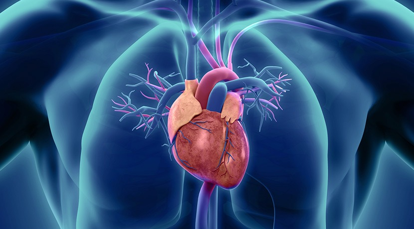 Best Cardiology Clinics for Heart Disease Treatment