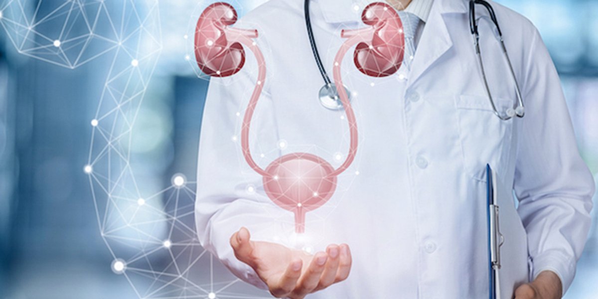 Exploring Common Conditions Treated in Urology