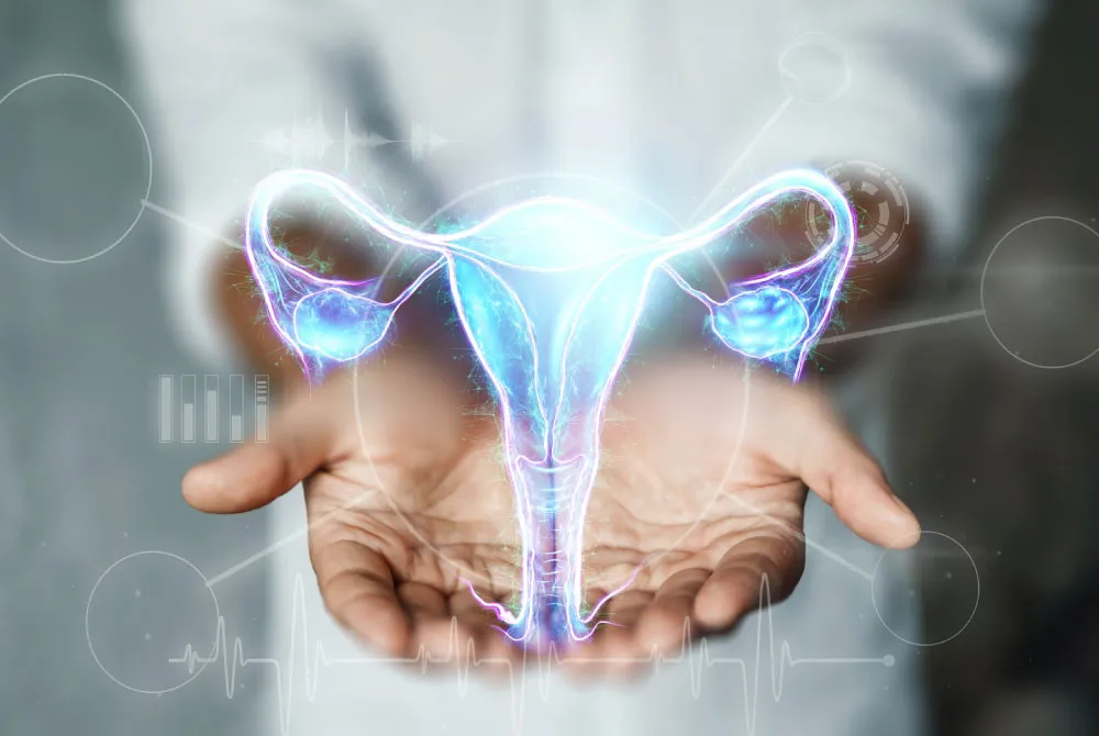 The Connection Between Gynecology and Sexual Health