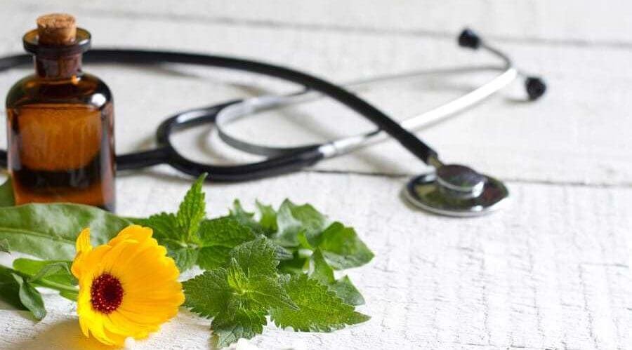 The Role of Naturopathic Doctors in Promoting Wellness and Preventative Care